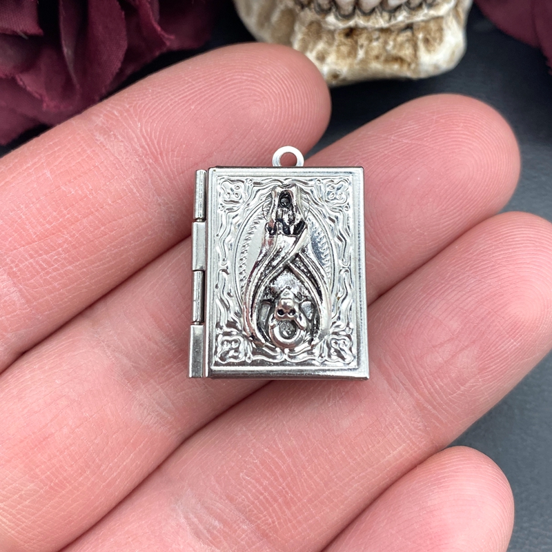 2psc Dainty Bat Book Locket Ch - Jewelry Making Journal 评论和价格